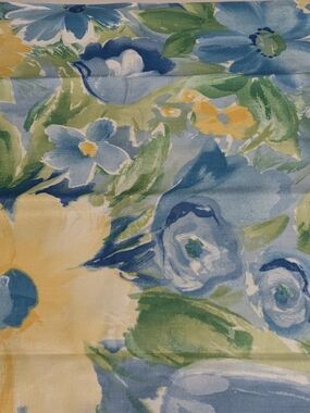 Mill Creek Fabrics Party Time Collection Screen Print Vat Dyes